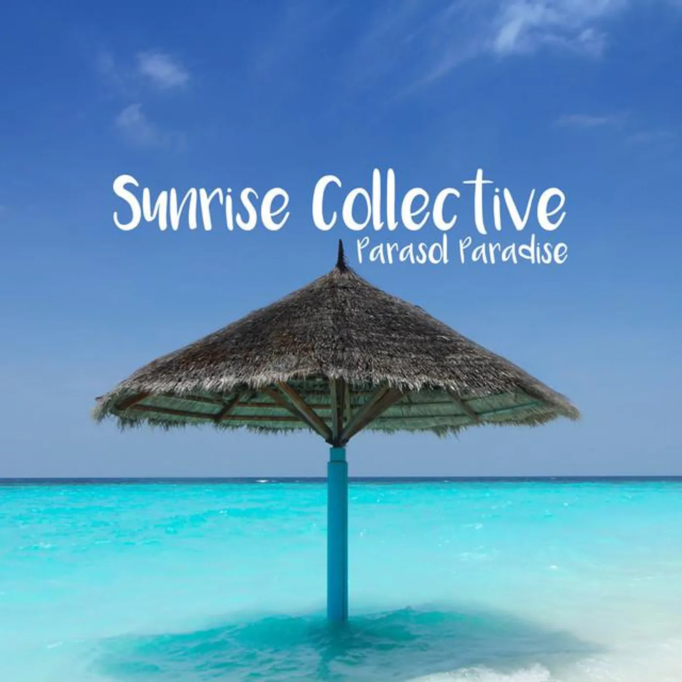 Sunrise Collective Brand Page