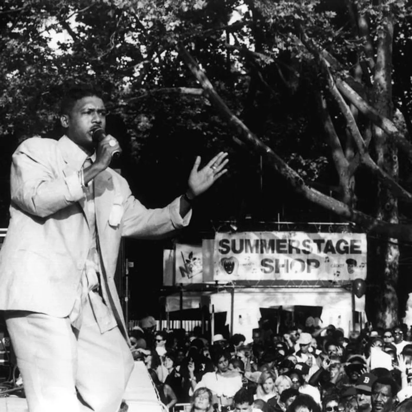 Super Cat Brand Page