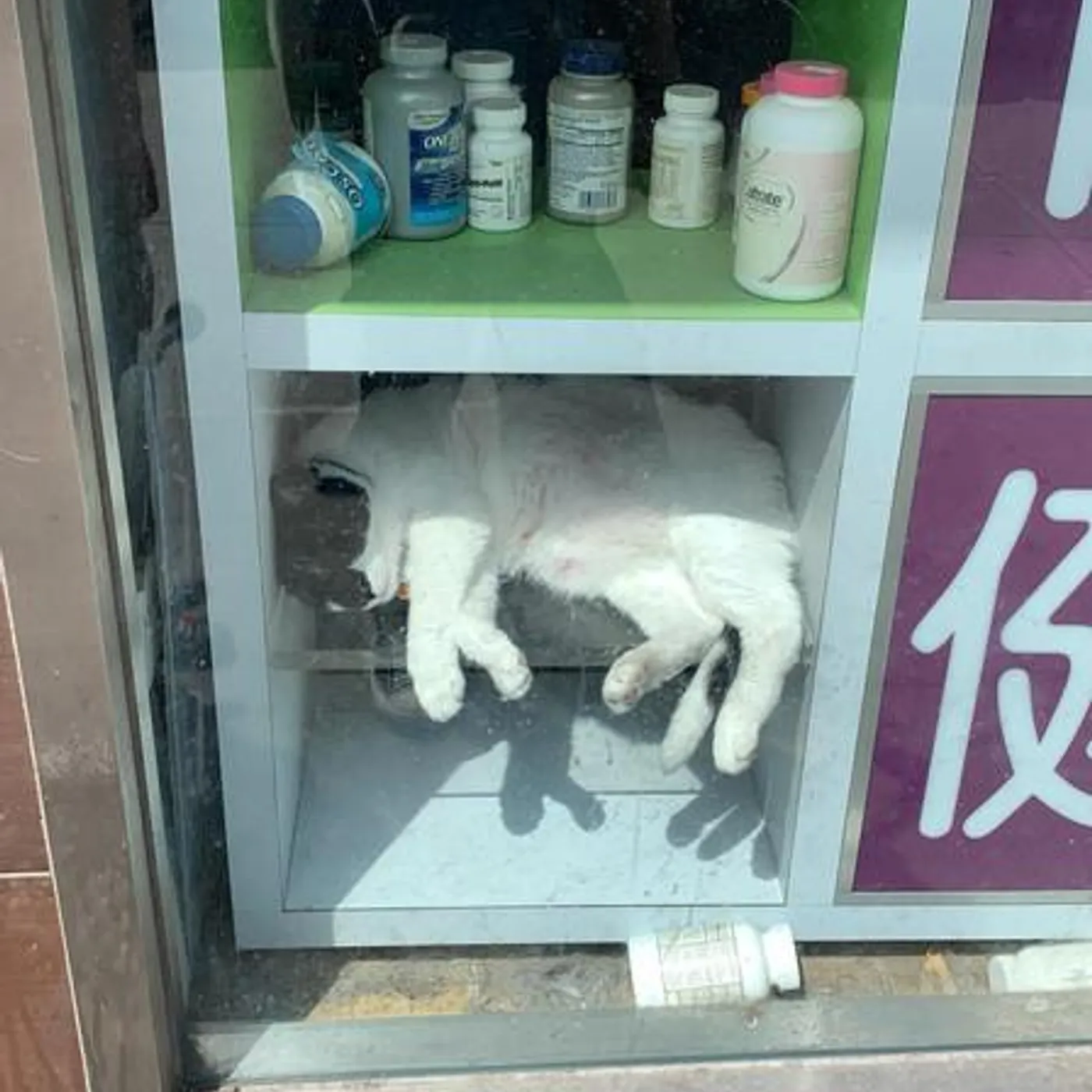 Super Lunch Brand Page