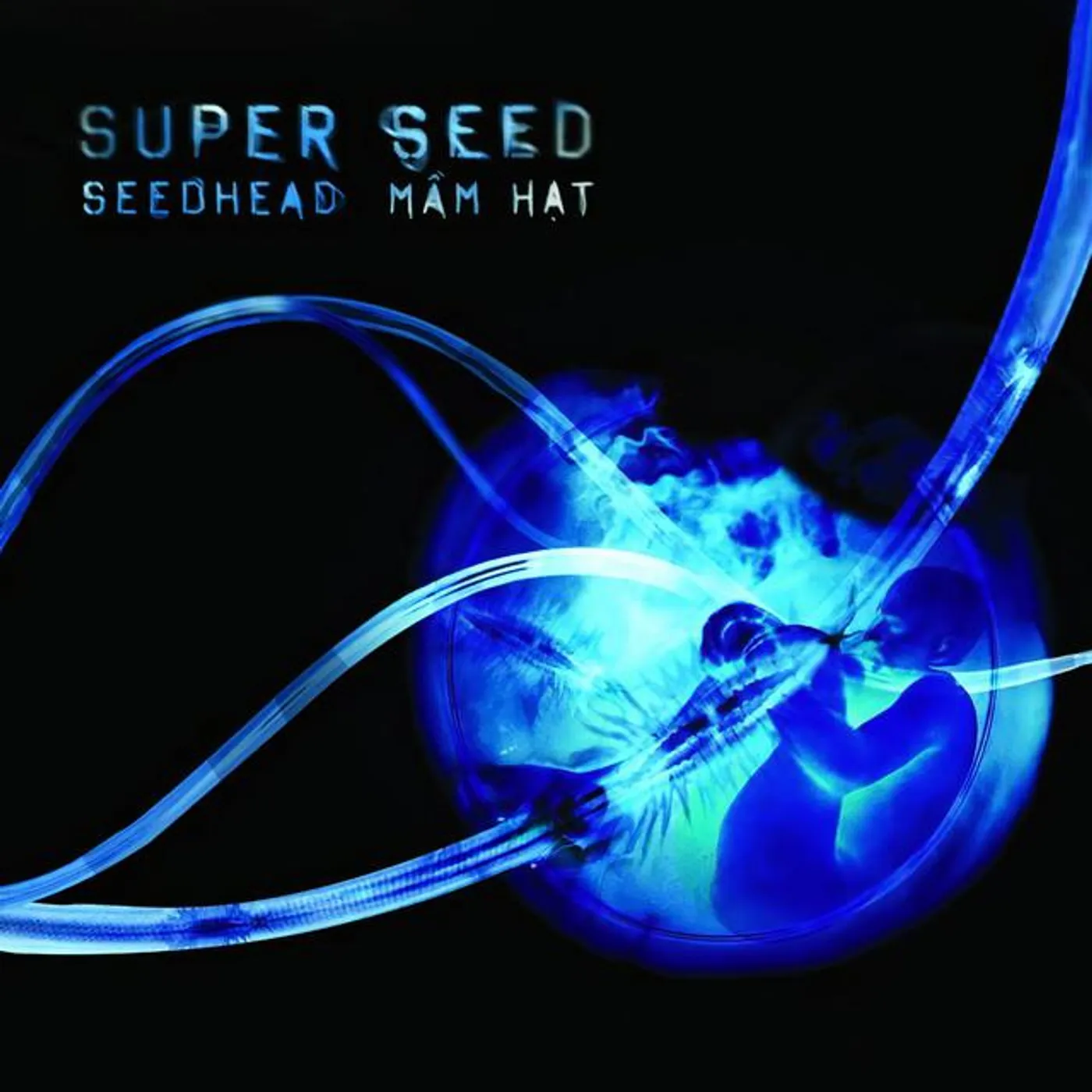 Super Seed