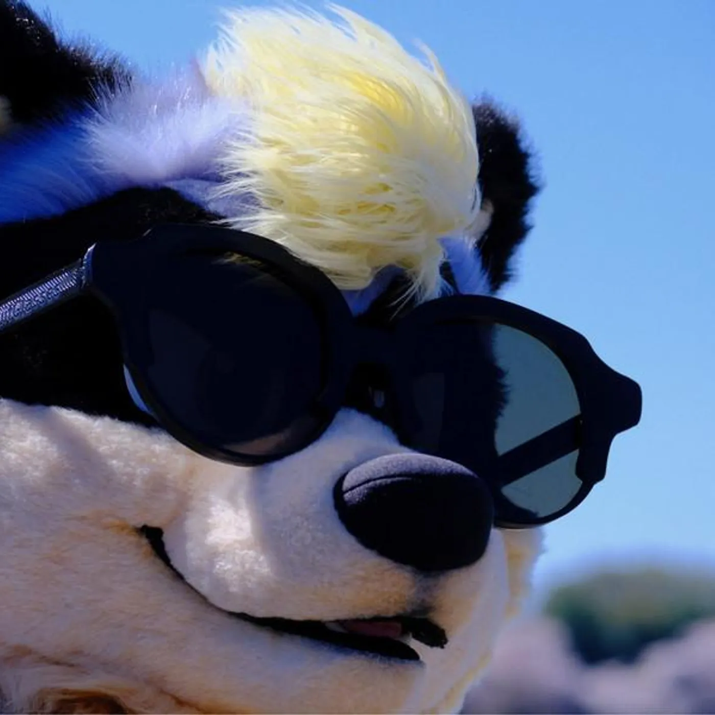 Super Powered Yaks Brand Page