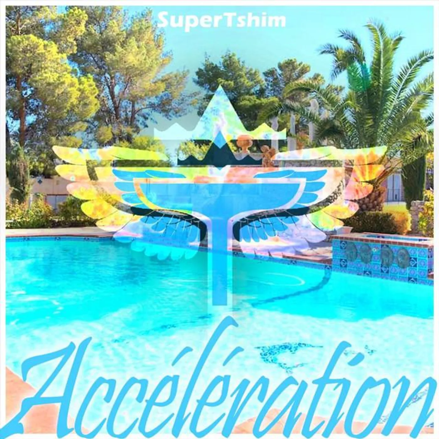 Super Tshim