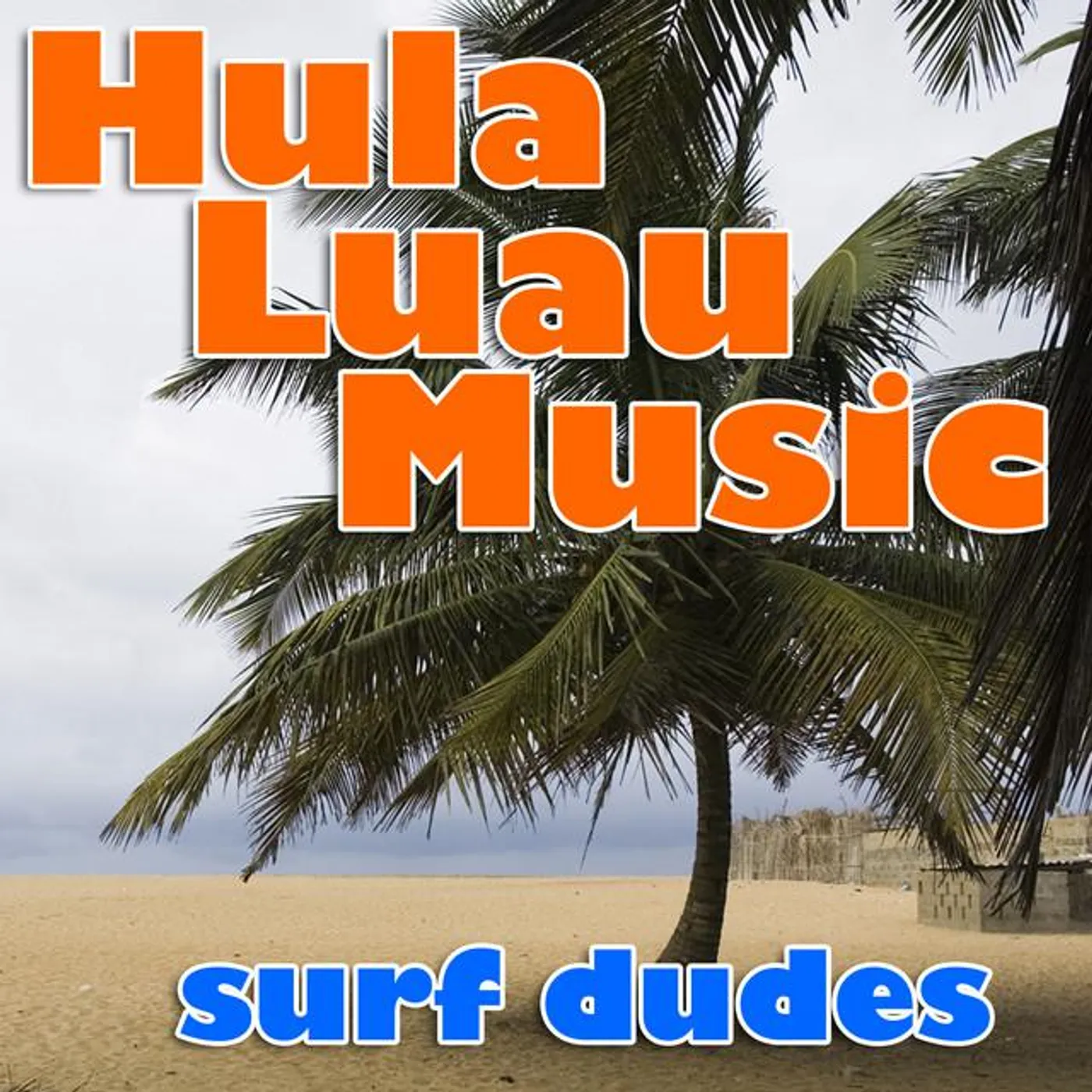 Surf Dudes Brand Page