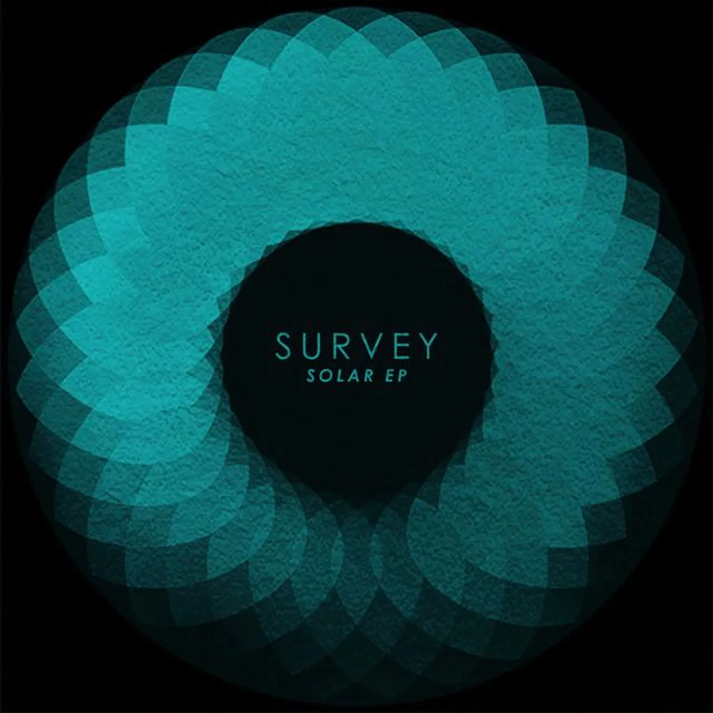 Survey