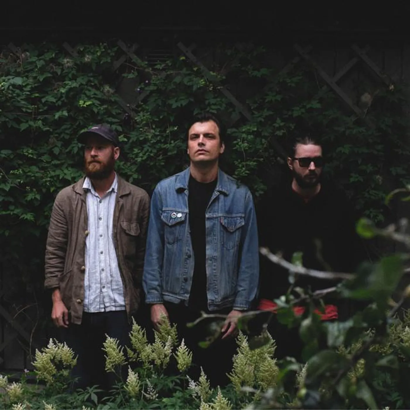 Svart katt Brand Page