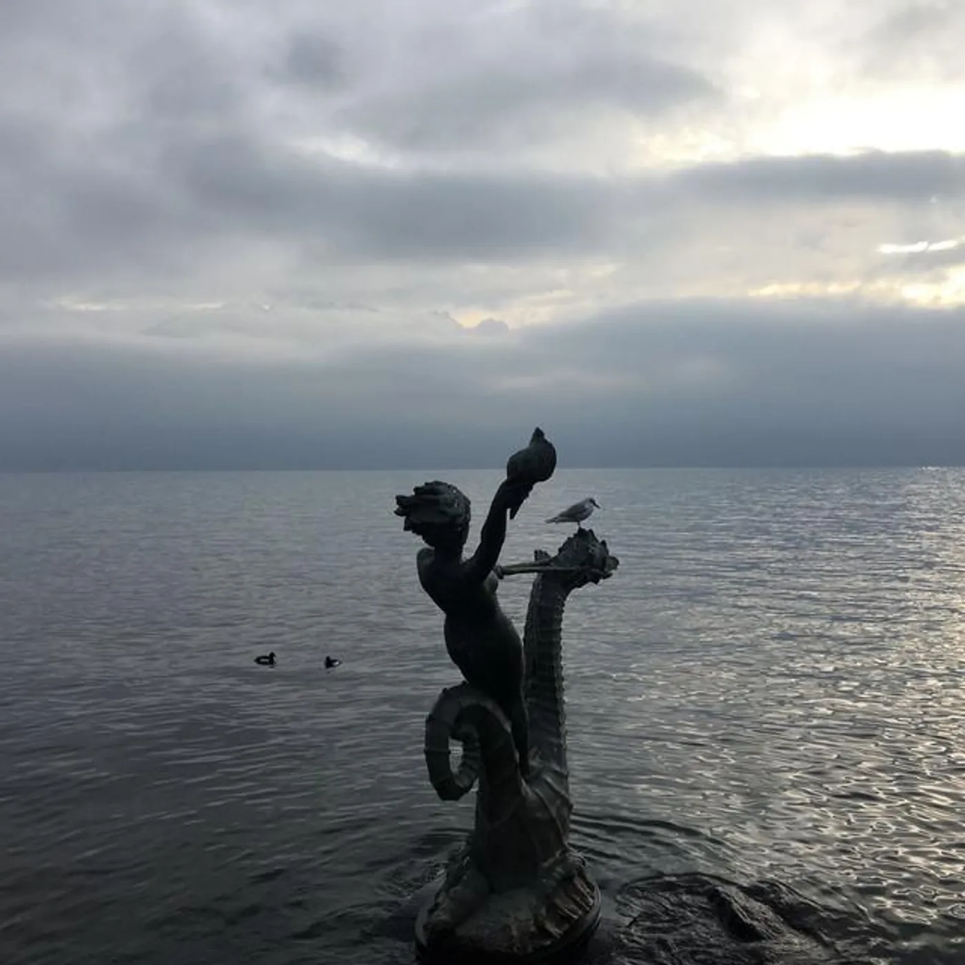 Sven Caux Brand Page