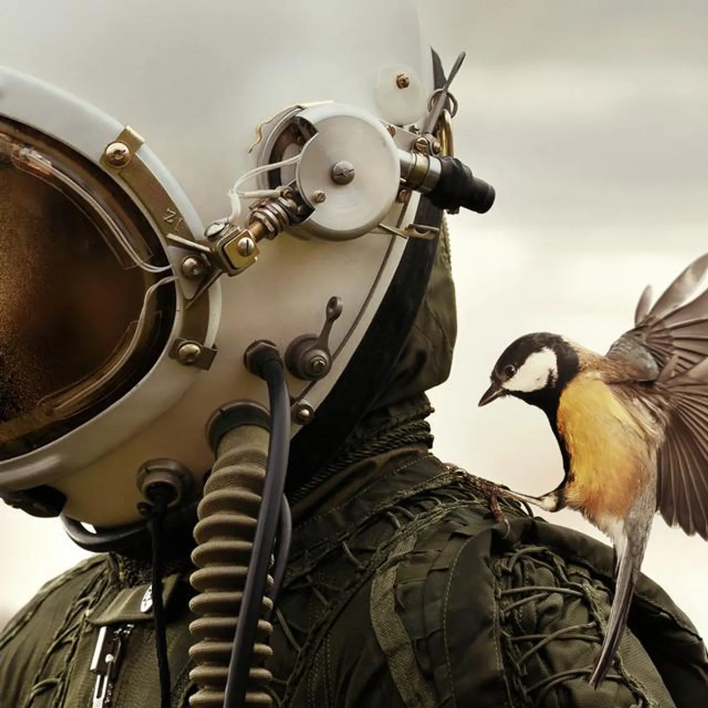 Sverre Knut Johansen Brand Page