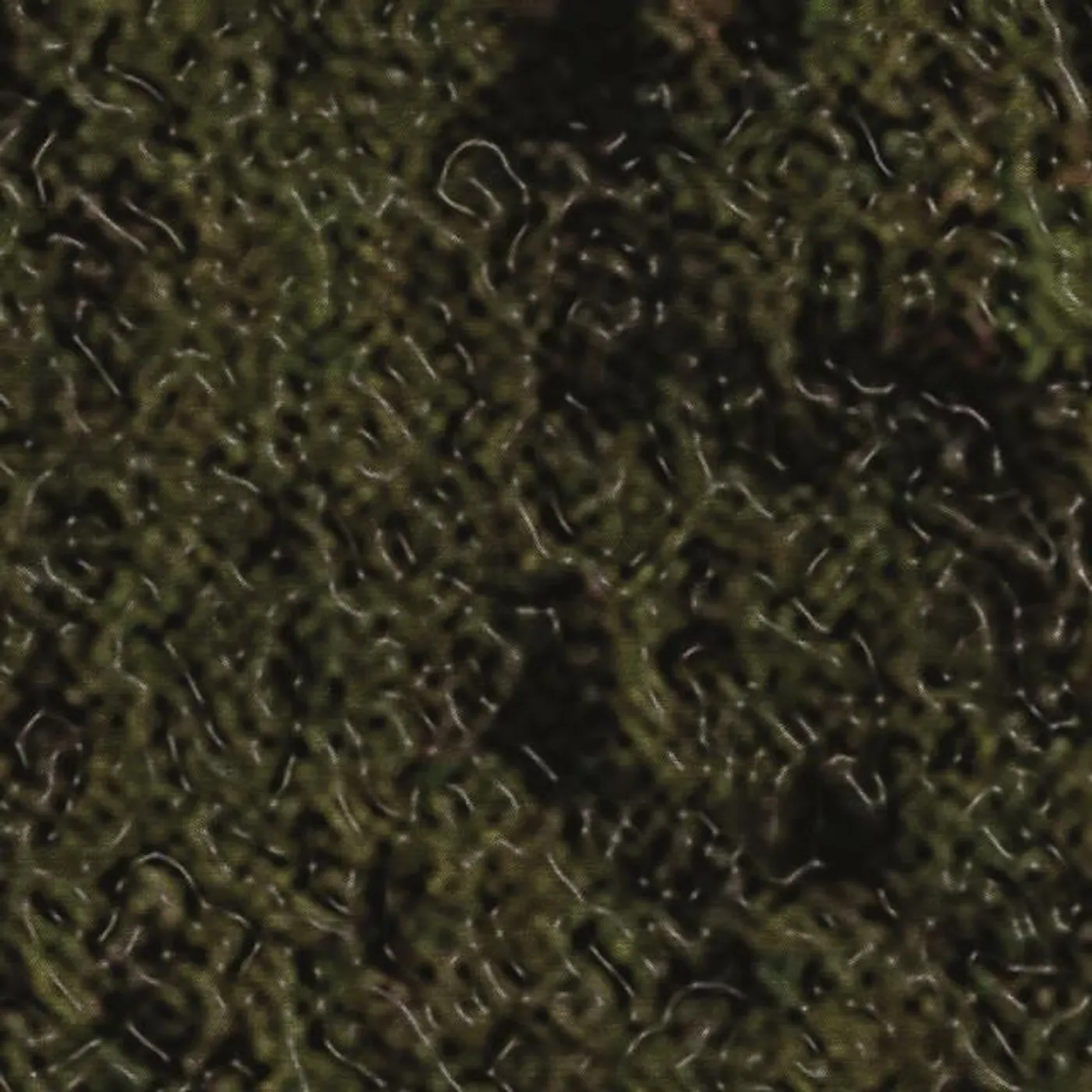 Swamp Harbour Brand Page