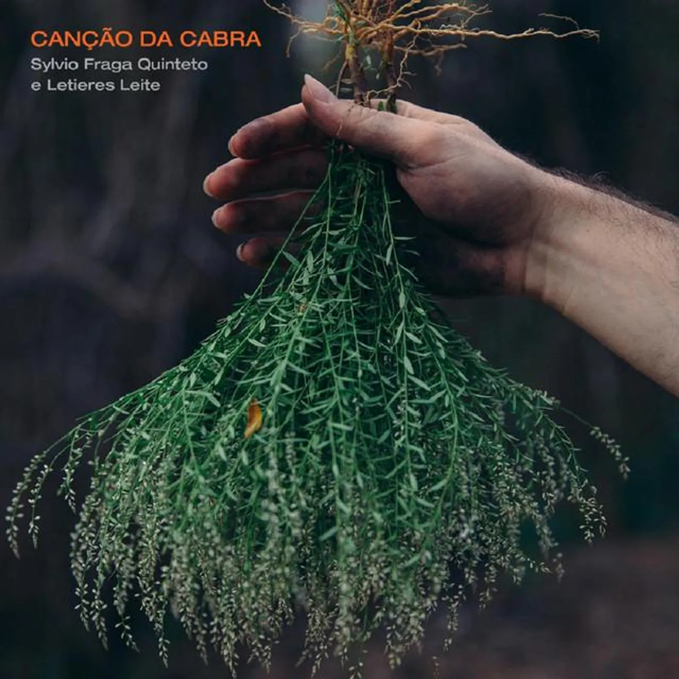 Sylvio Fraga Quinteto