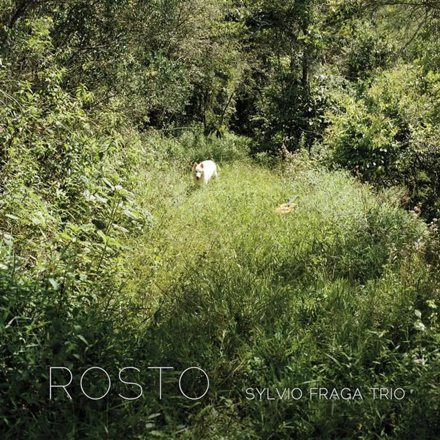 Sylvio Fraga Trio Brand Page