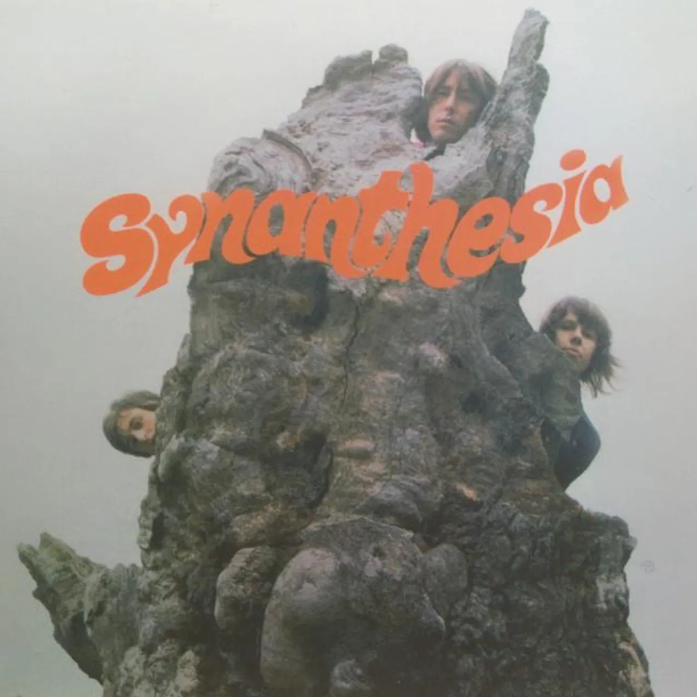 Synanthesia Brand Page