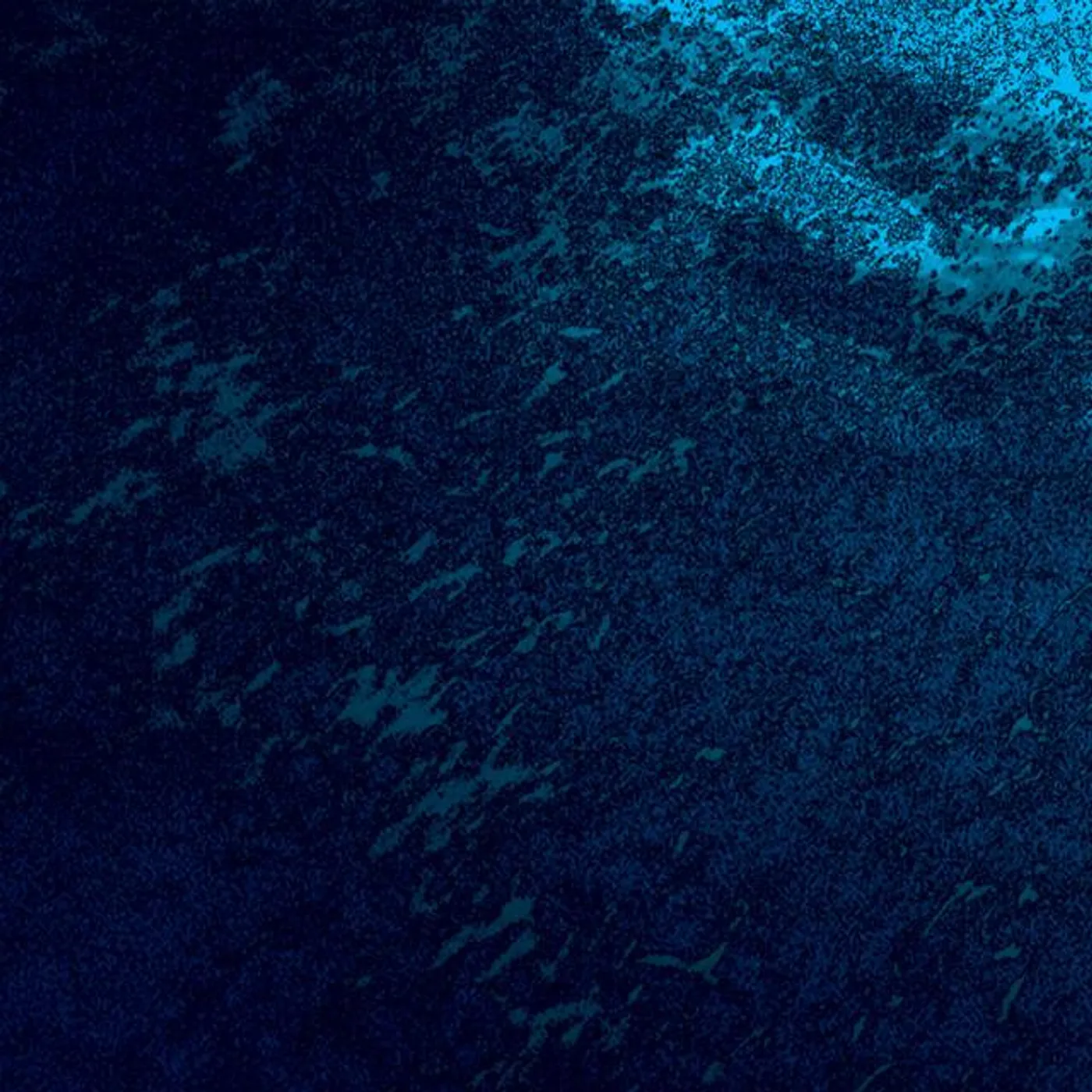 Synaesthesis Brand Page