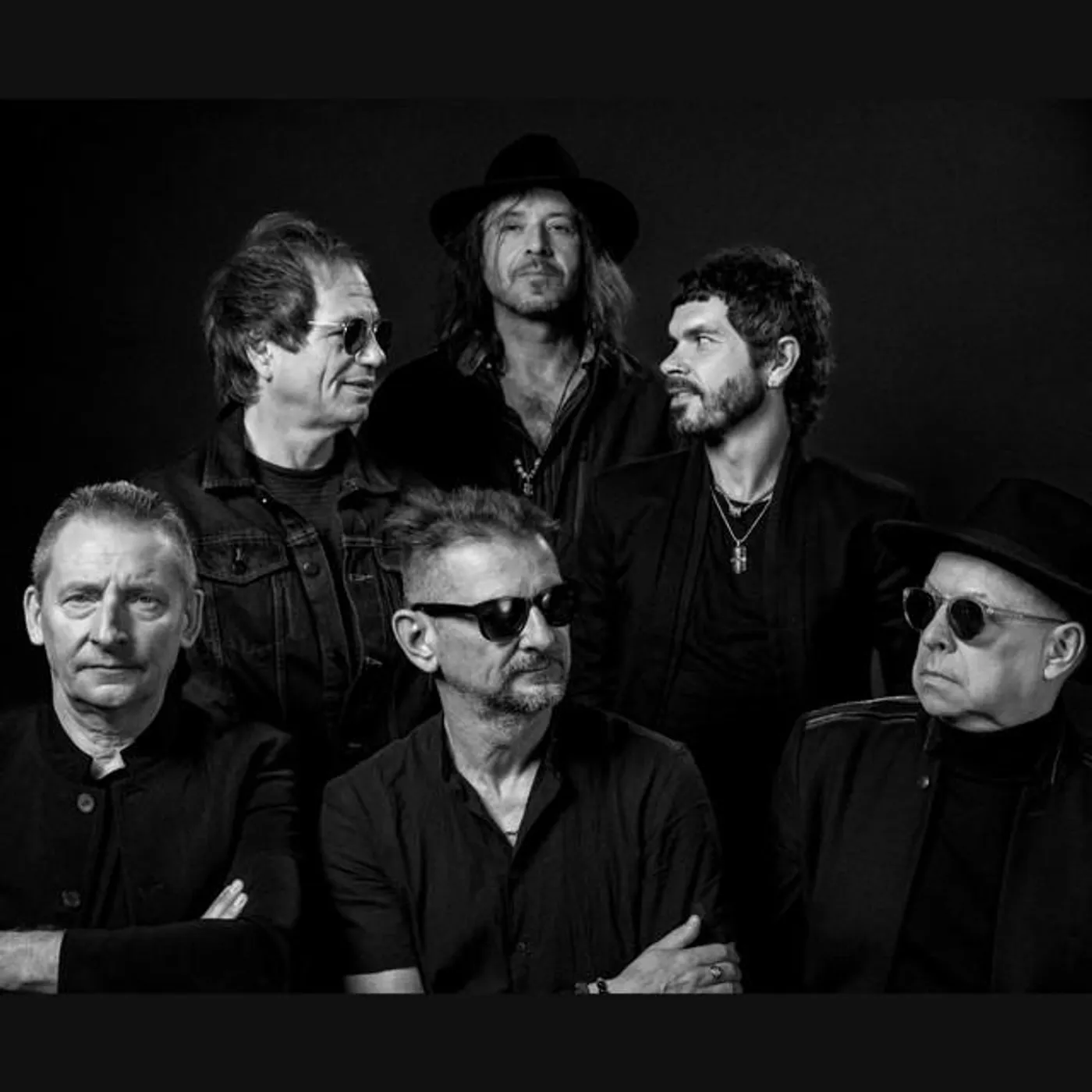 Sztywny Pal Azji Brand Page