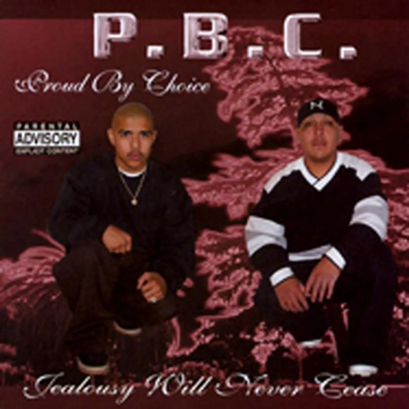 P.B.C. Proud By Choice Brand Page