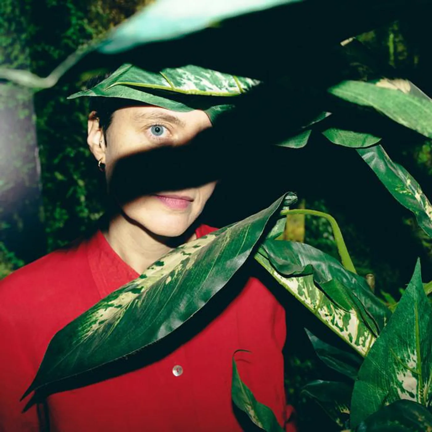 Point No Point Brand Page