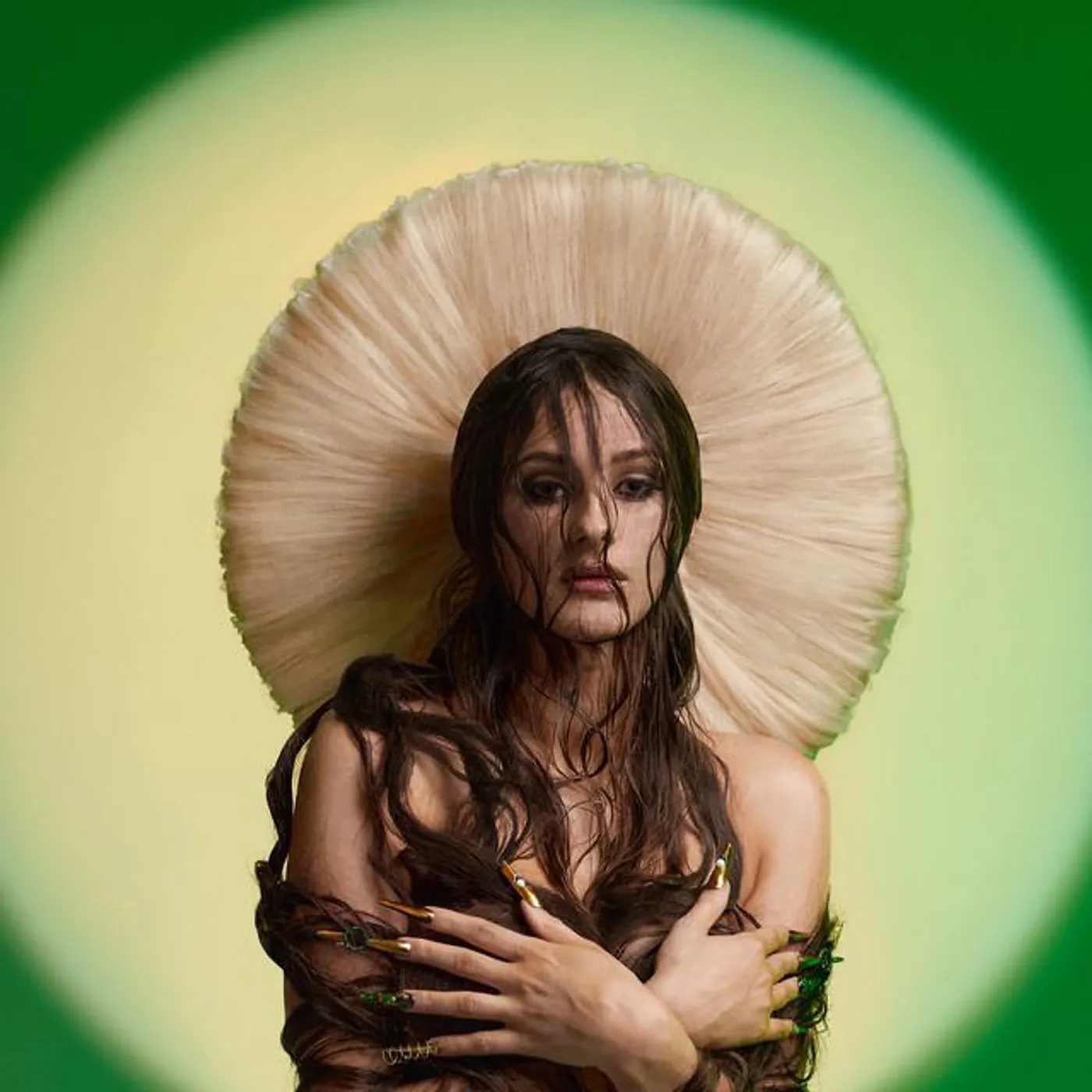 Pola Rise Brand Page