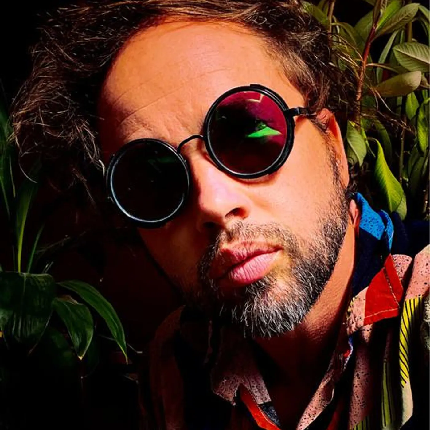 The Polish Ambassador Brand Page