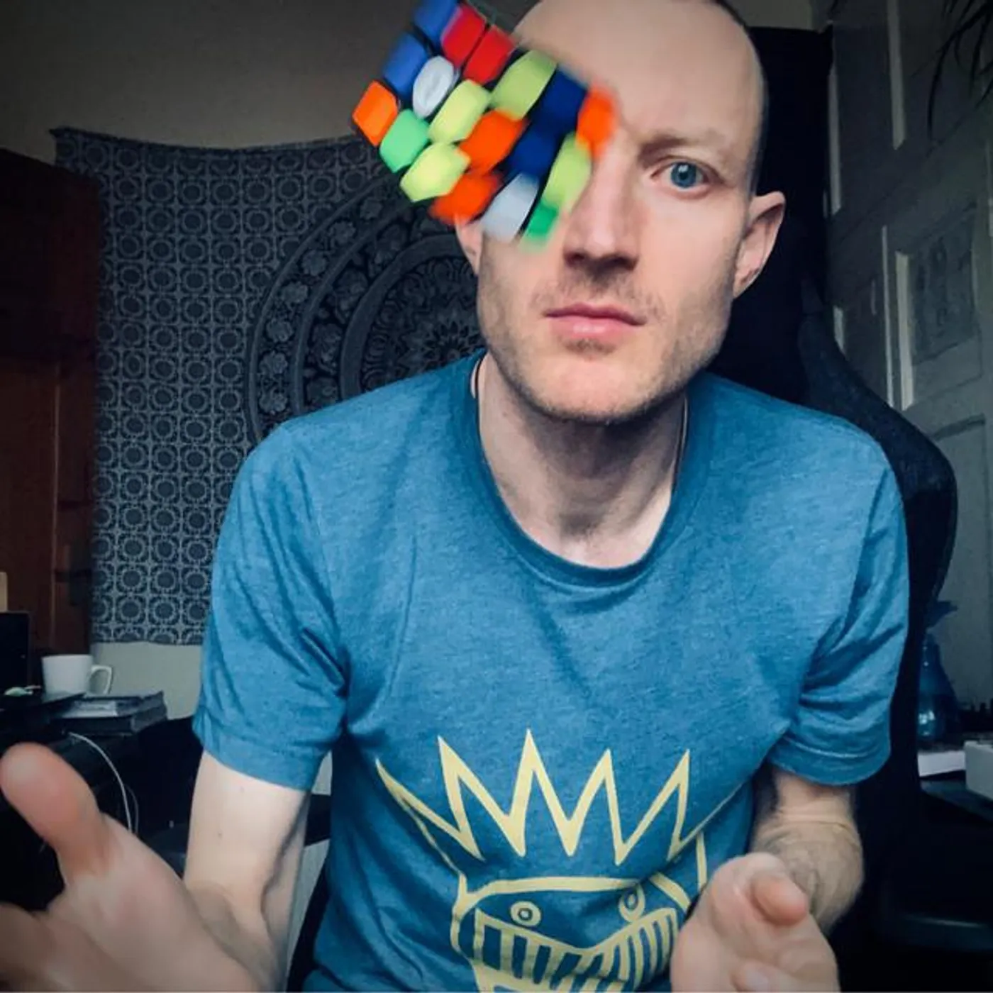 Polypores Brand Page