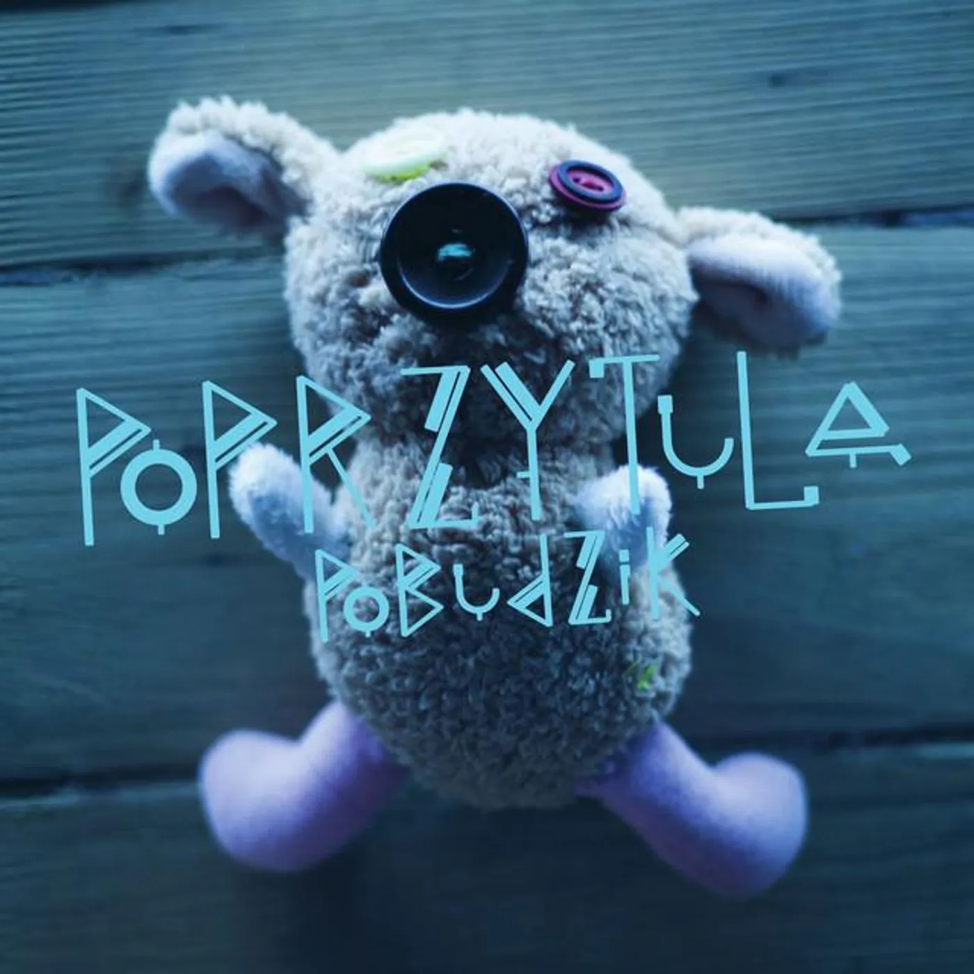 Poprzytula Brand Page