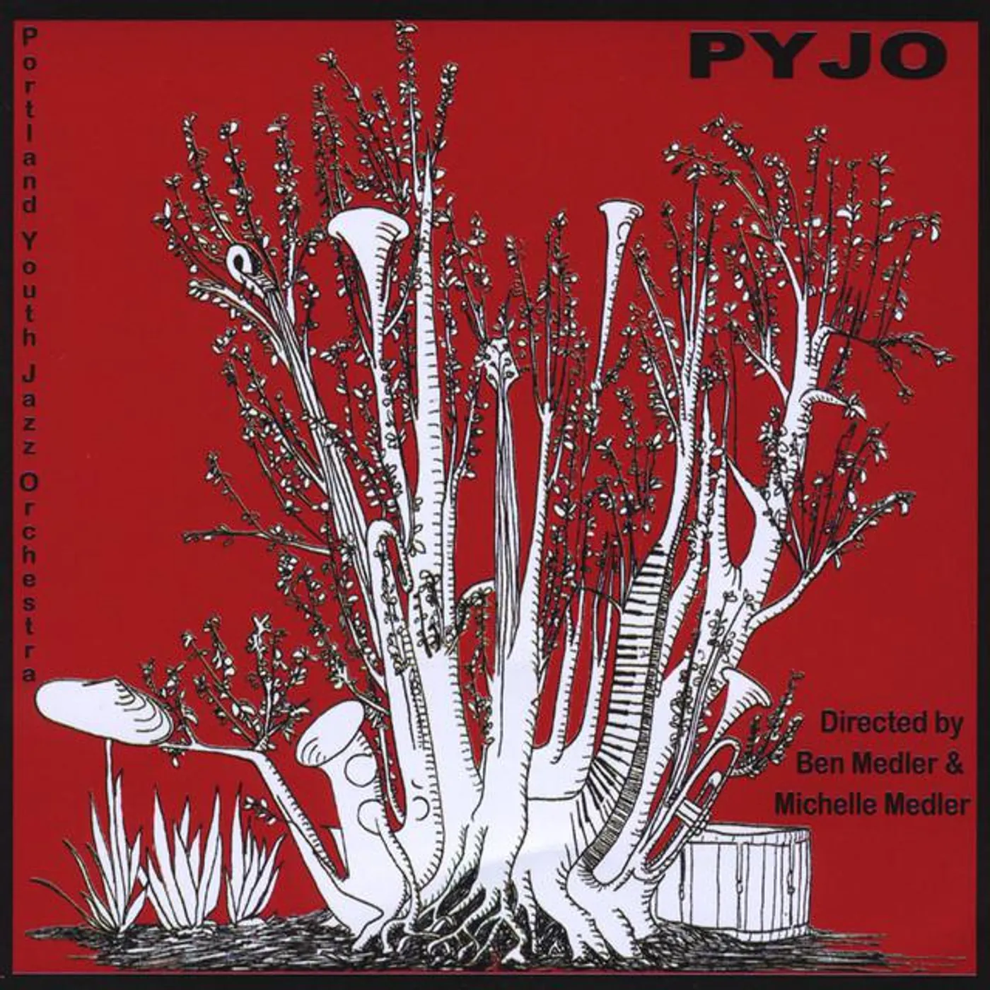 Portland Youth Jazz Orchestra