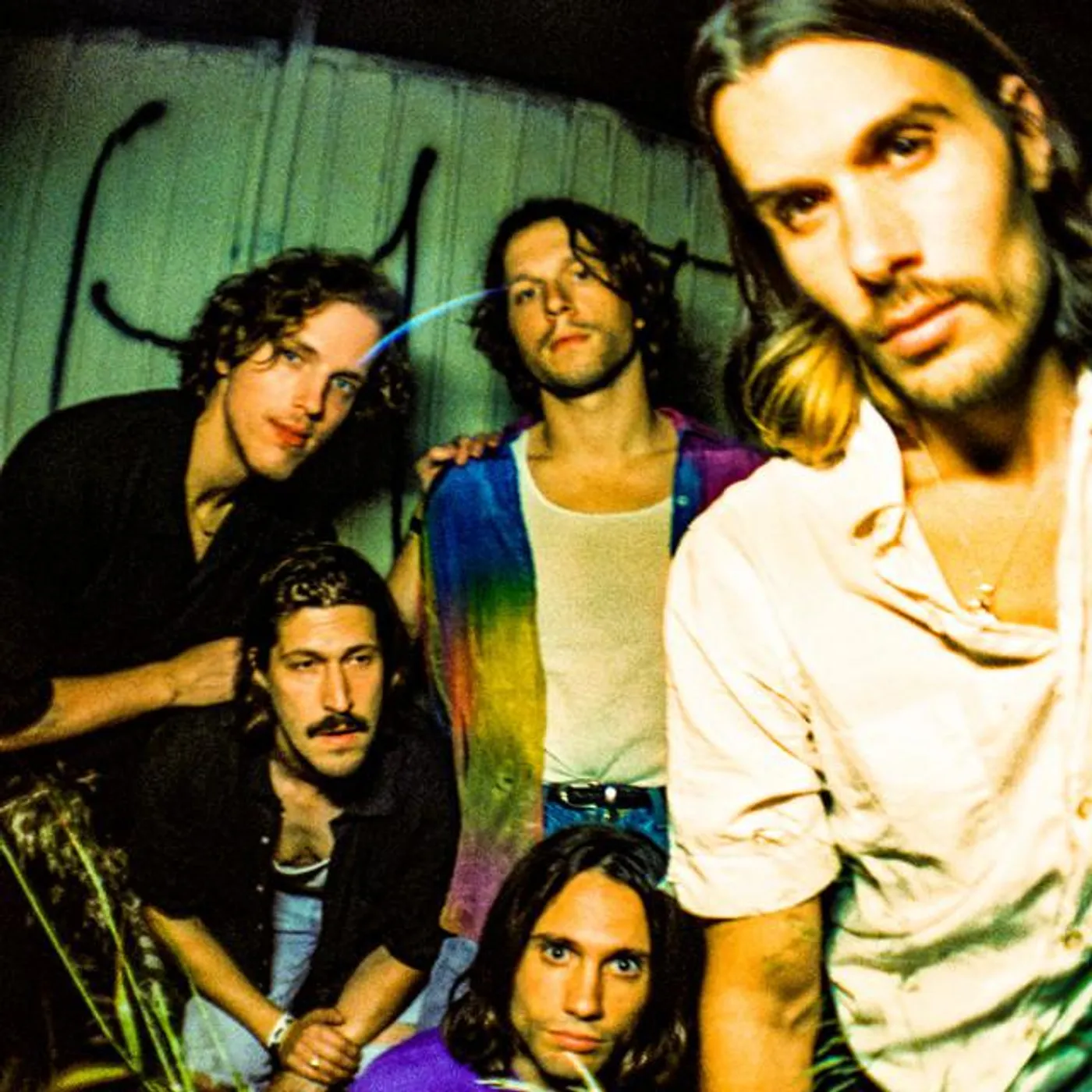 Post Animal Brand Page