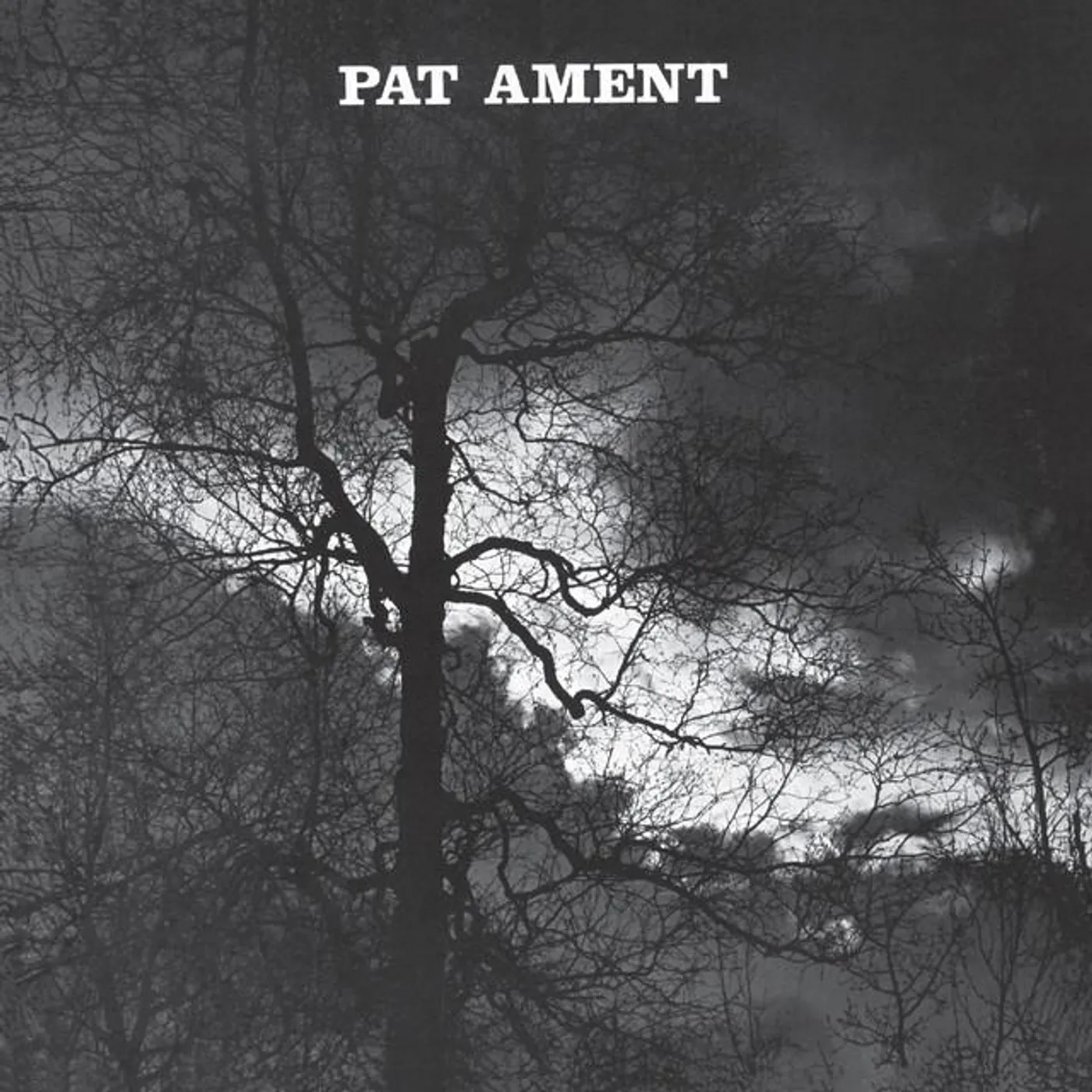 Pat Ament Brand Page
