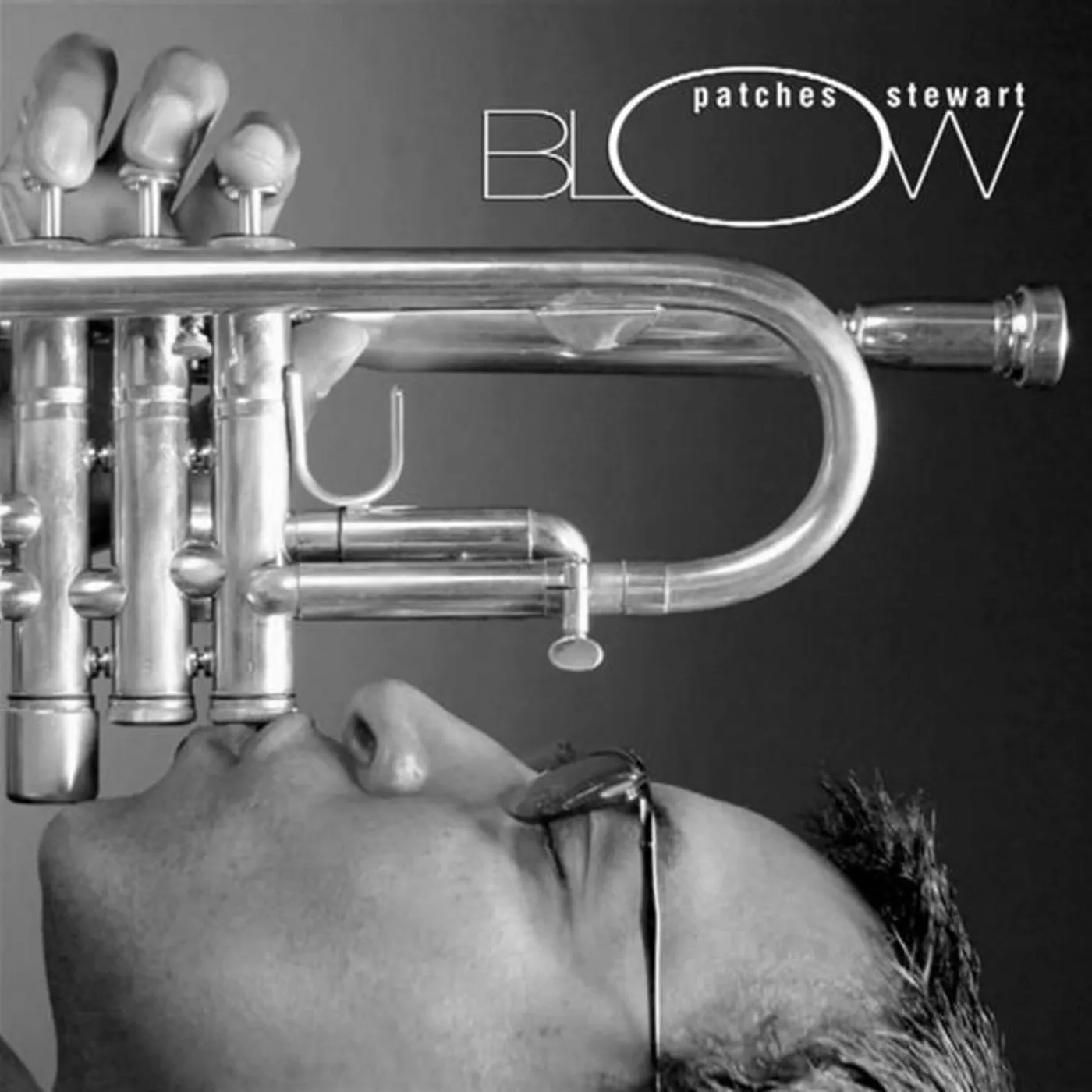 Patches Stewart Brand Page