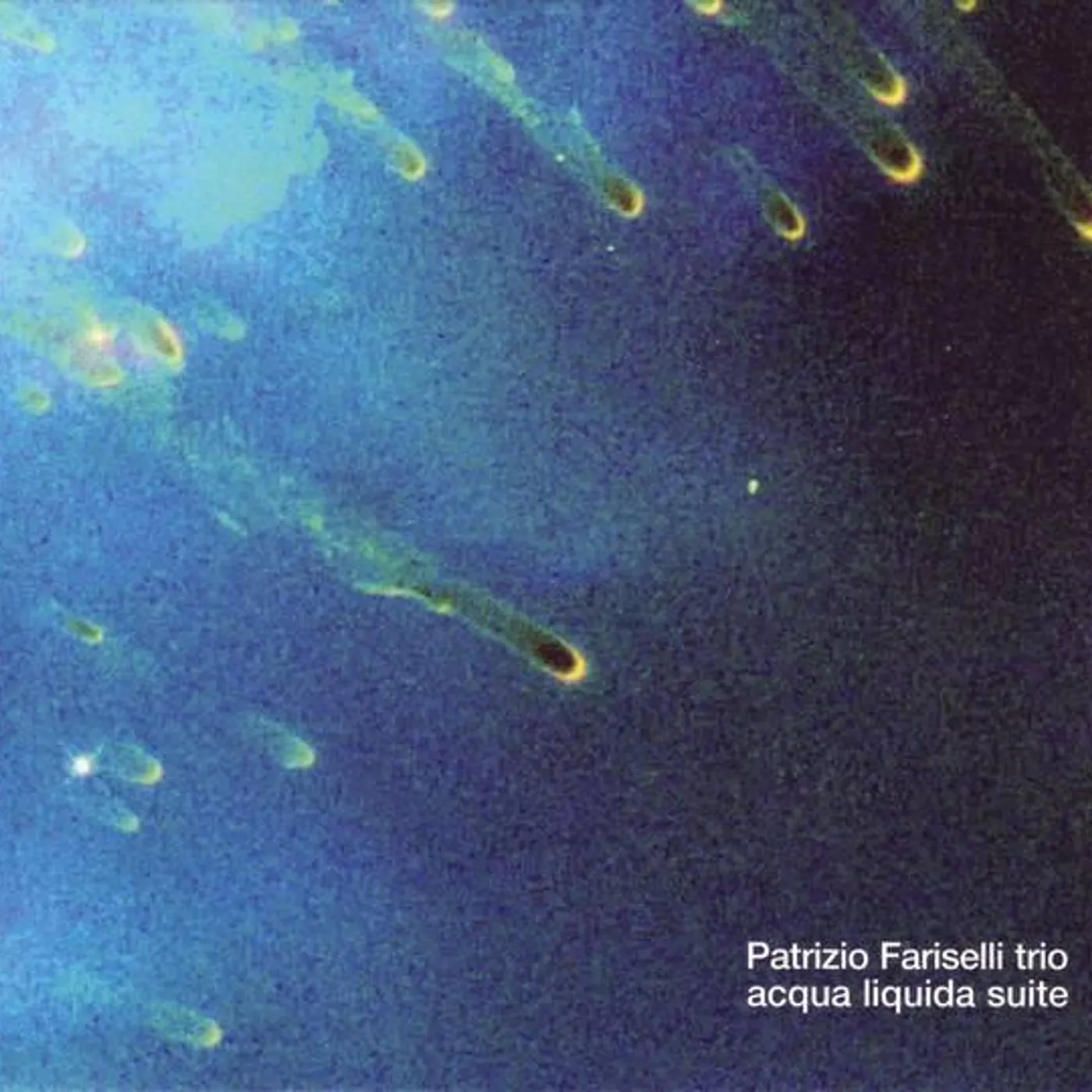 Patrizio Fariselli Trio Brand Page