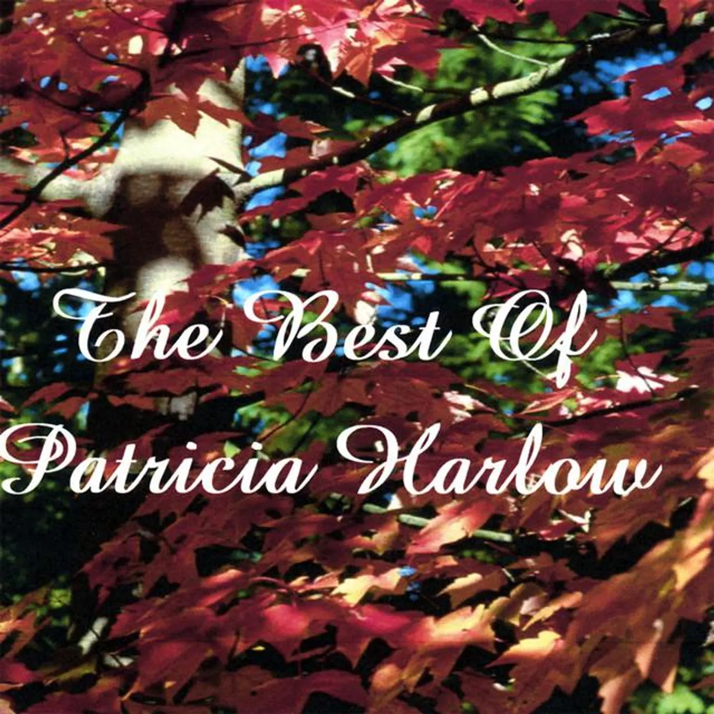 Patricia Harlow Brand Page