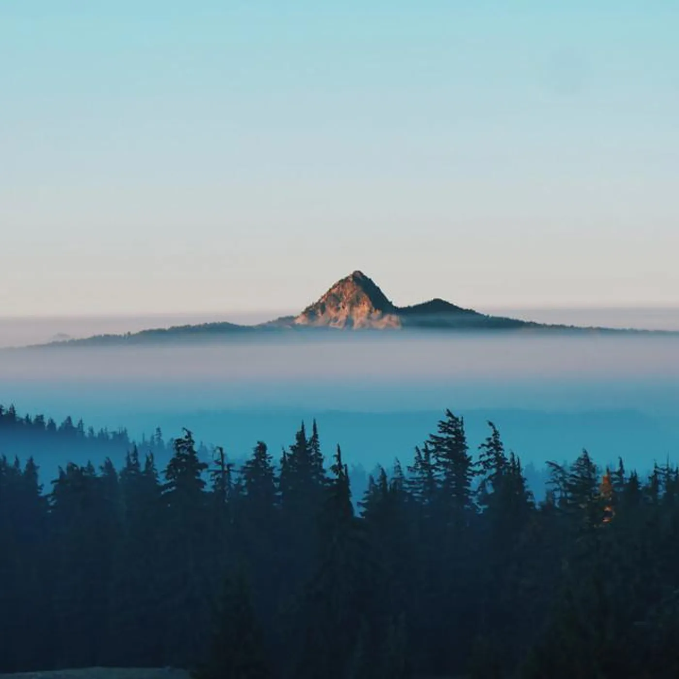 Patrick Buote Brand Page