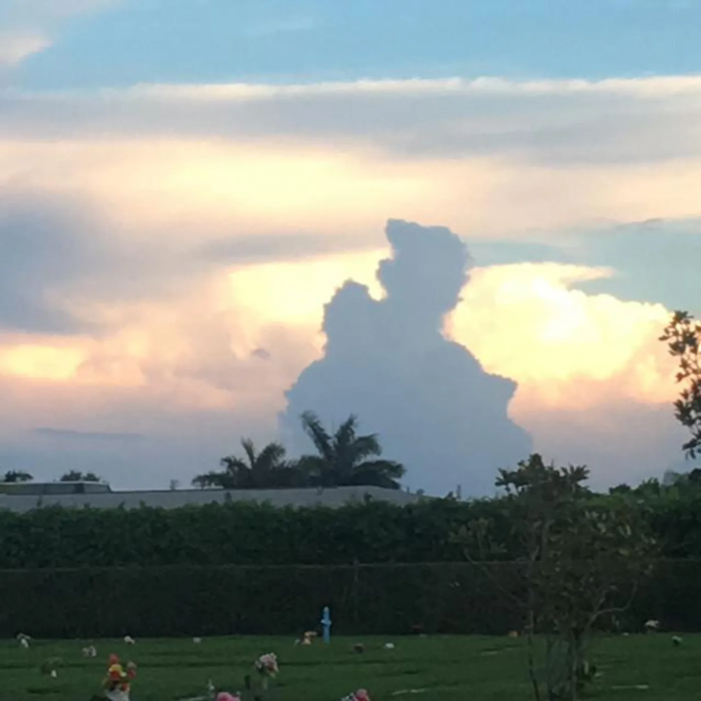 Patti Russo Brand Page