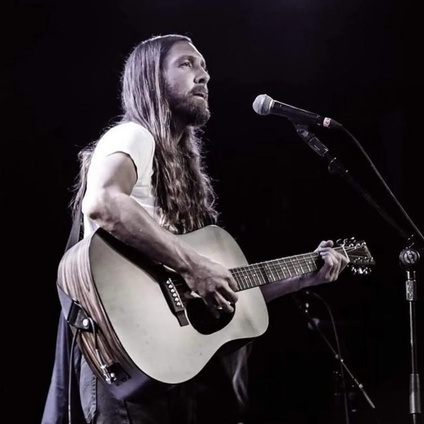 Paul & The Tall Trees