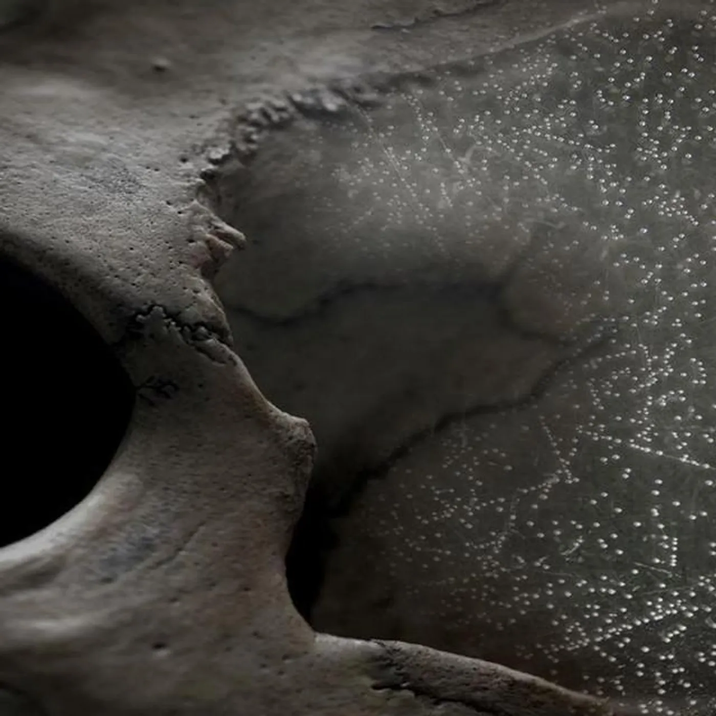 Paul Schütze Brand Page