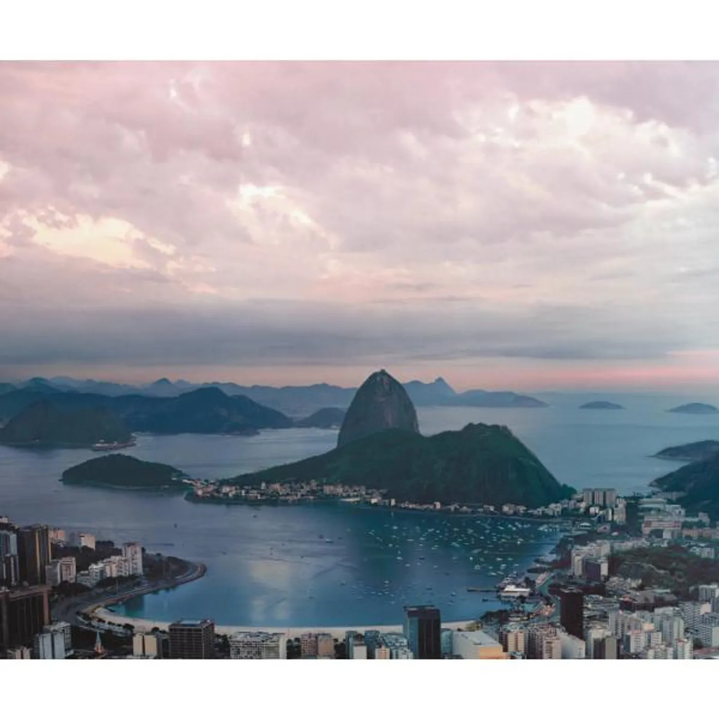 Paula Morelenbaum Brand Page