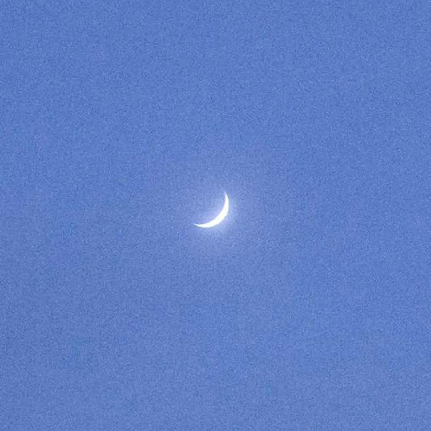 Pavel Milyakov Brand Page