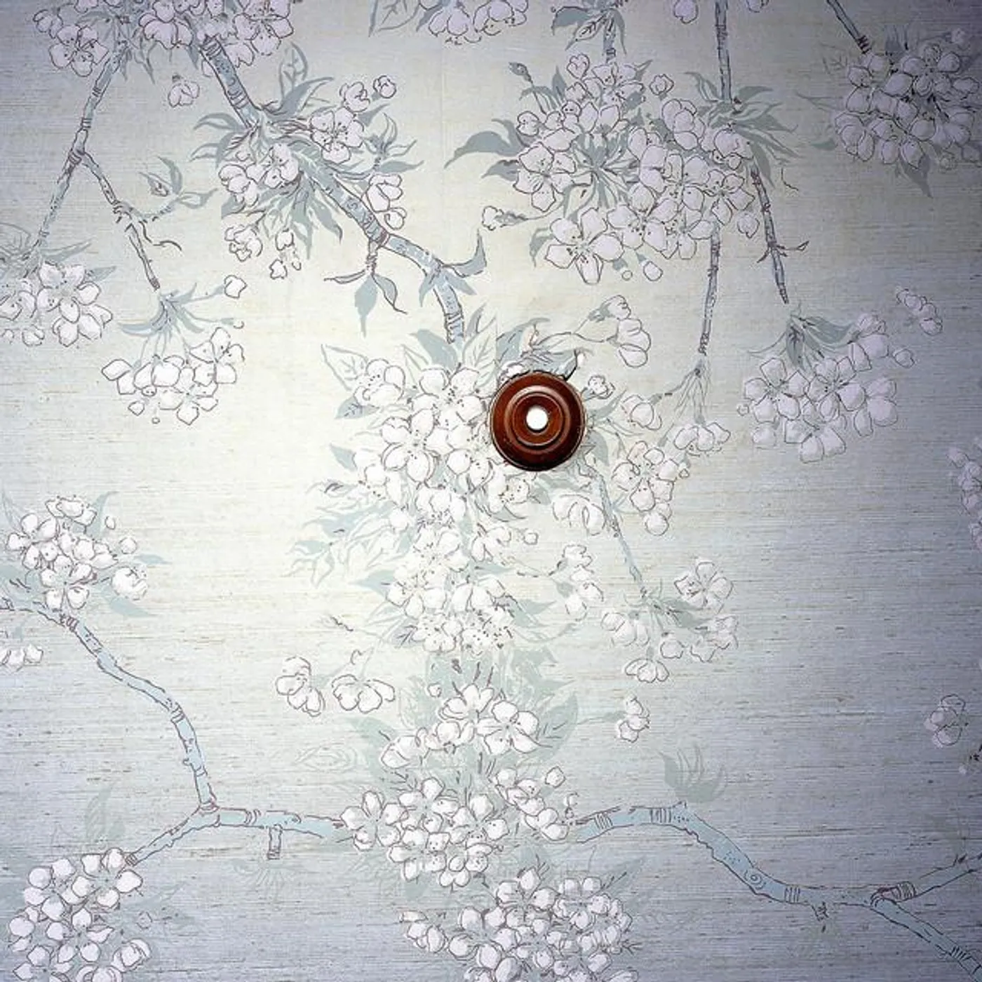 PacificUV Brand Page