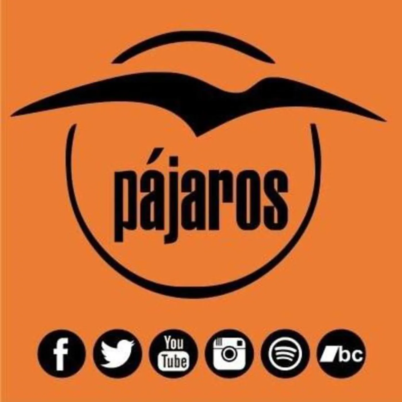 Pajaros Brand Page