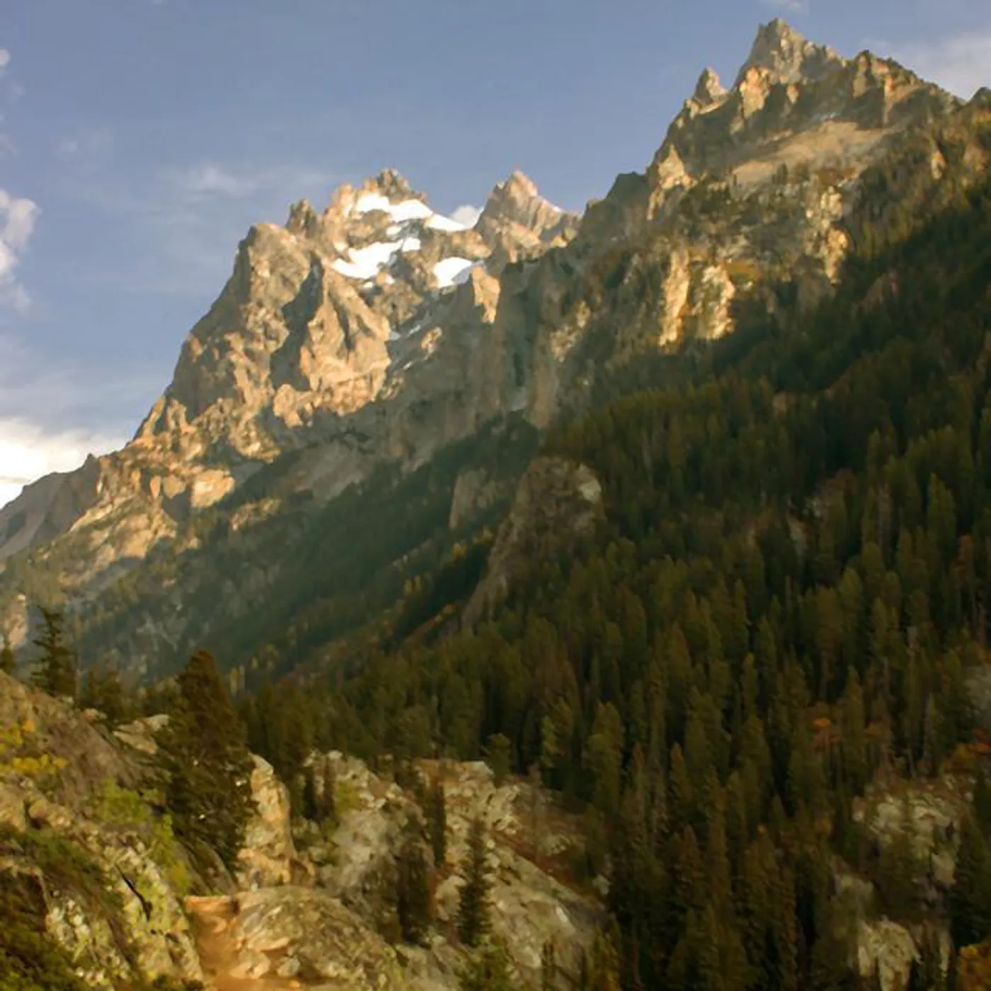 Pale Winter Sun Brand Page