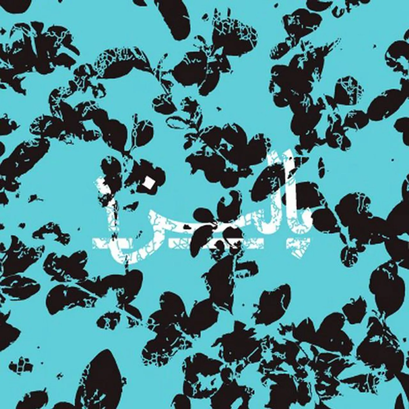 Paliz Ensemble Brand Page