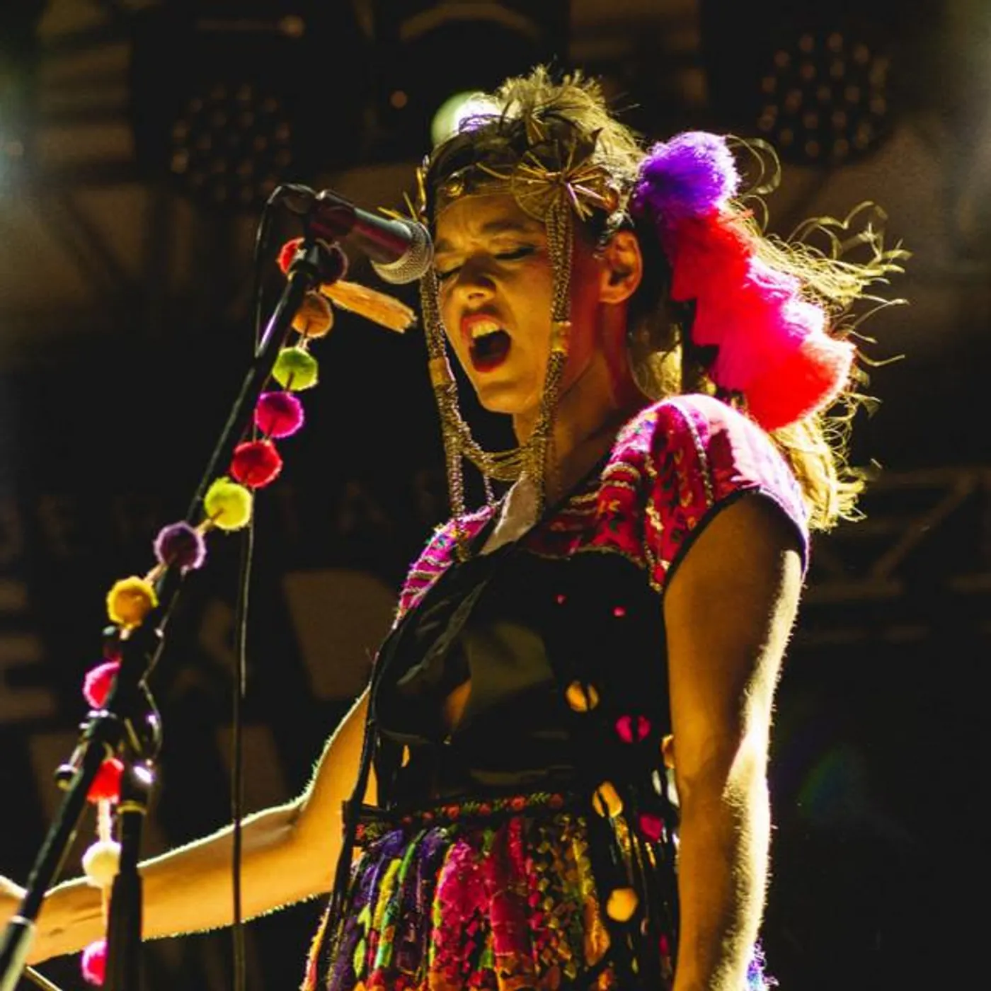 Paloma del Cerro Brand Page