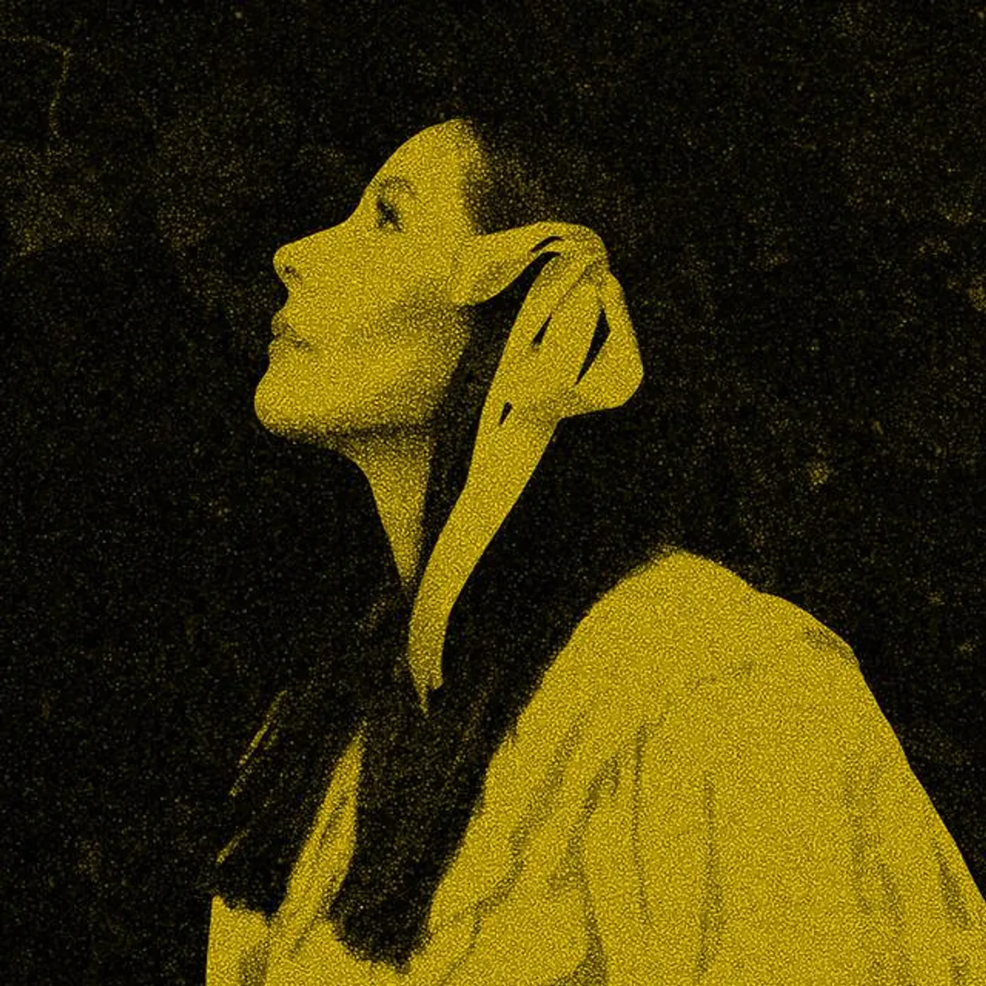 Nerina Pallot Brand Page