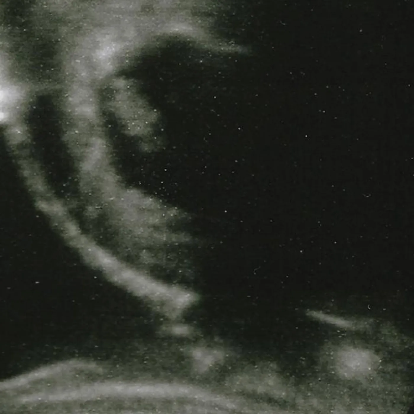 Palm Honey Brand Page