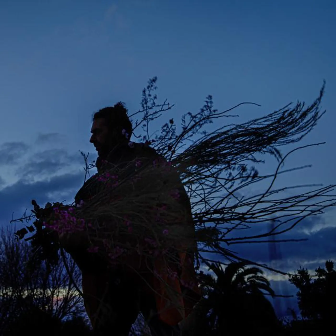 Palo Pandolfo Brand Page