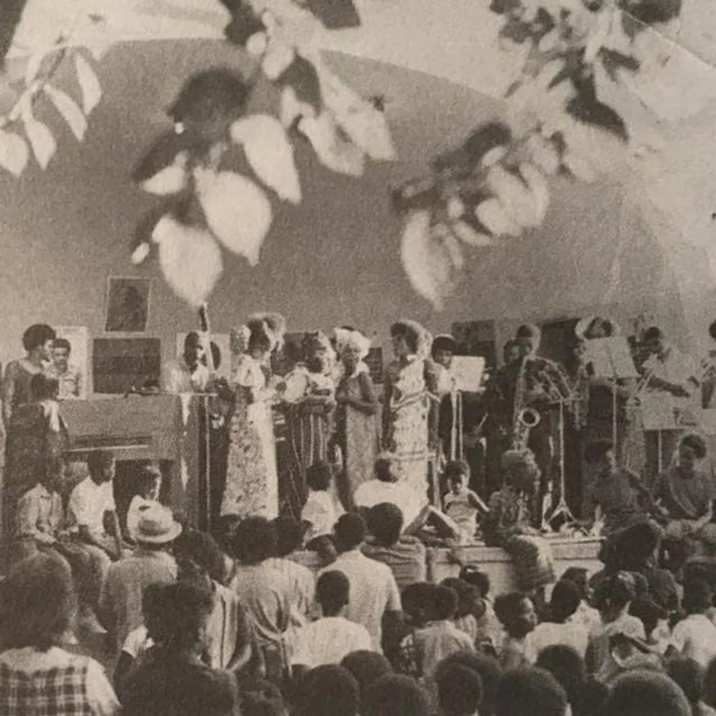 Pan Afrikan Peoples Arkestra Brand Page