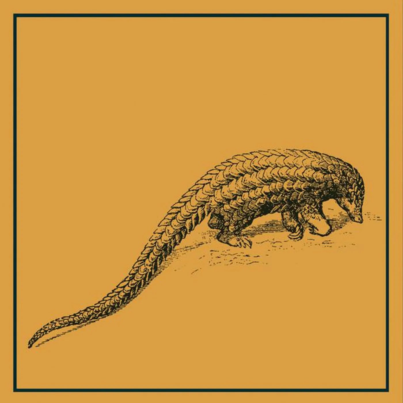 Pangolin SoundSystem Brand Page