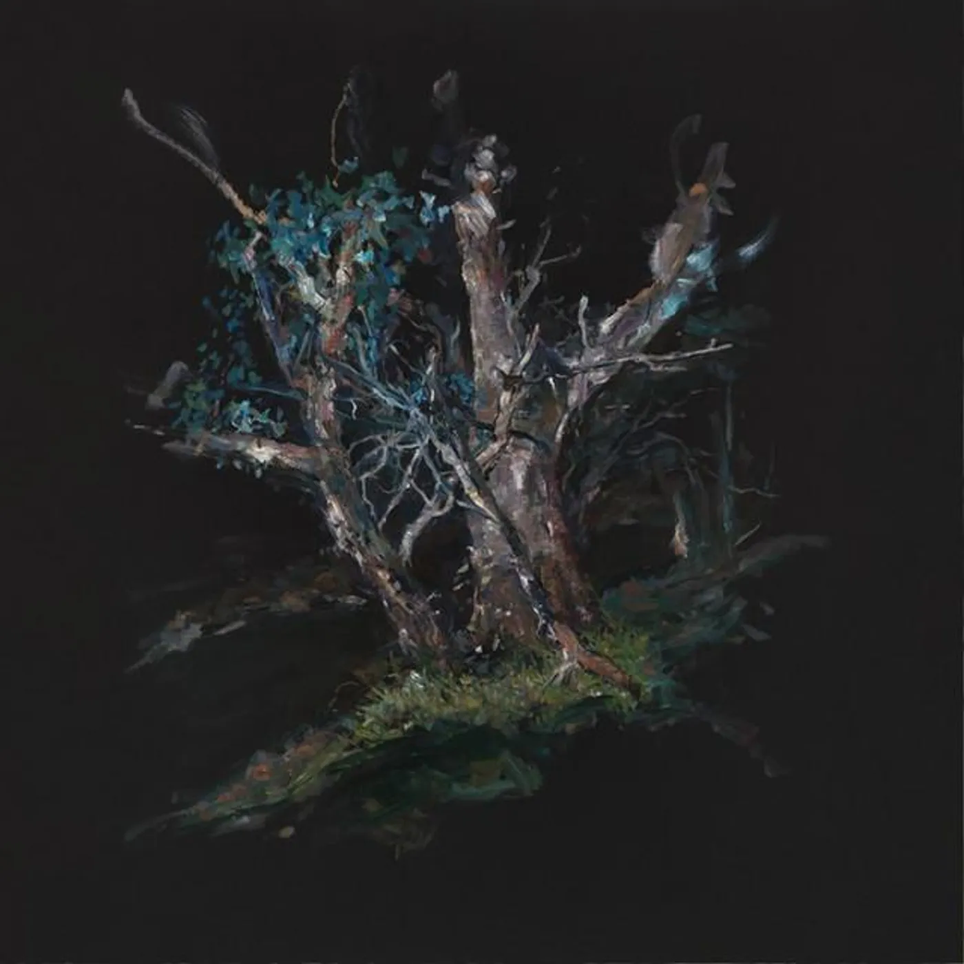 Panel Of Judges Brand Page