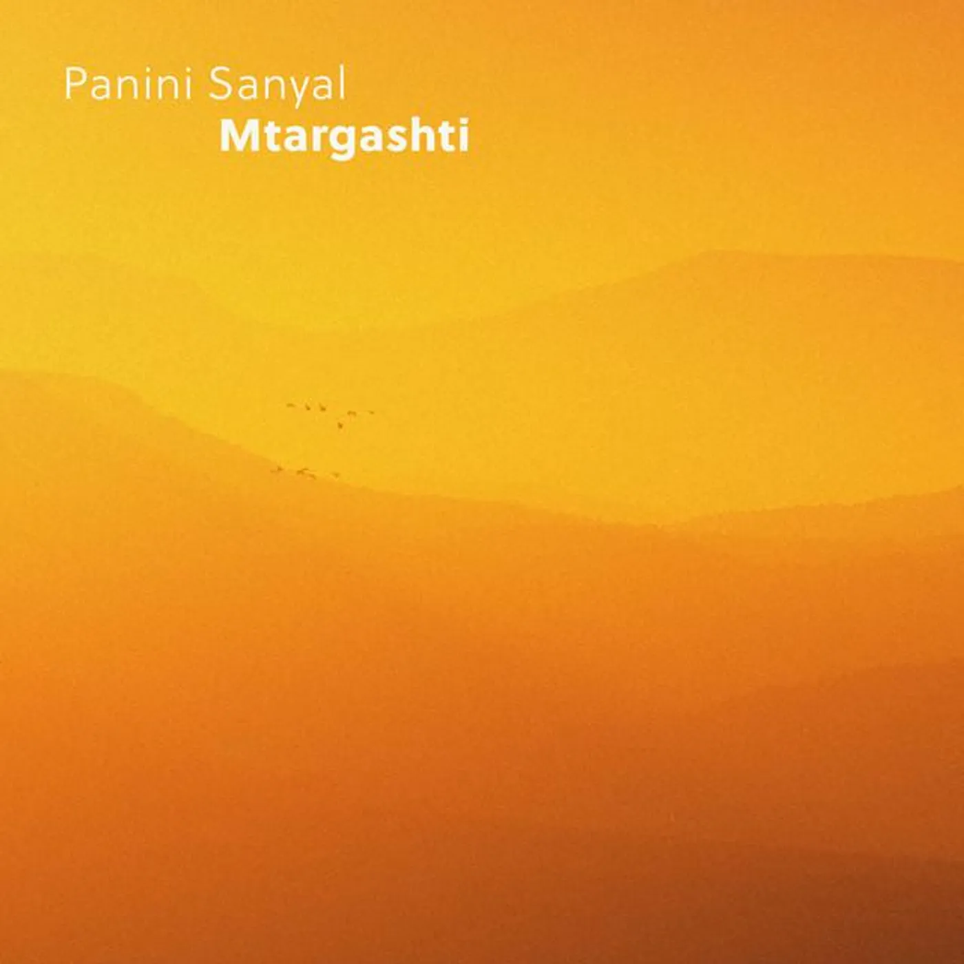 Panini Sanyal Brand Page