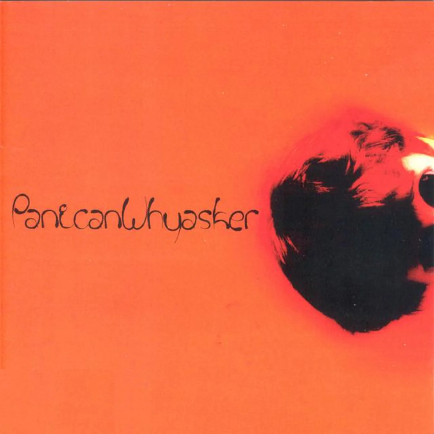 Panican Whyasker Brand Page