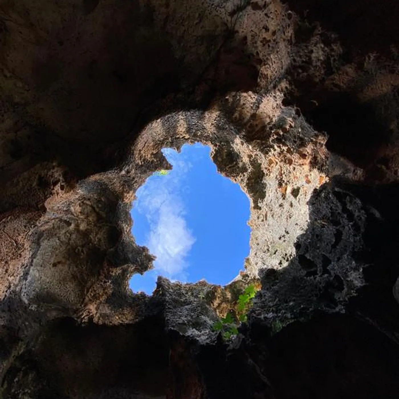 Paomazing Brand Page