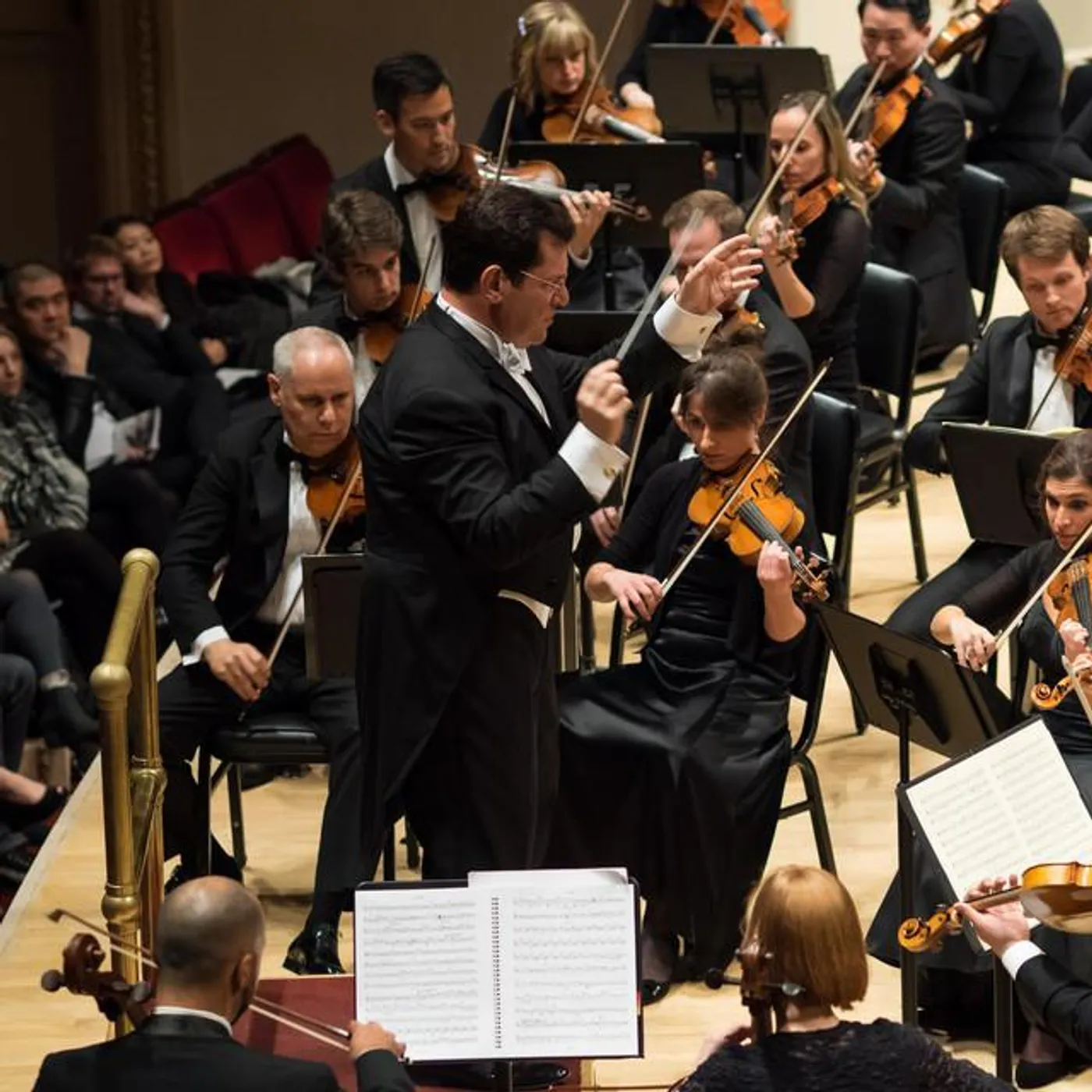 Park Avenue Chamber Symphony Brand Page